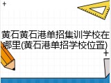 黄石黄石港单招集训学校在哪里(黄石港单招学校位置)
