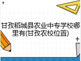 甘孜稻城县农业中专学校哪里有(甘孜农校位置)