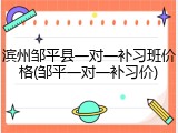 滨州邹平县一对一补习班价格(邹平一对一补习价)