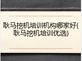 耿马挖机培训机构哪家好(耿马挖机培训优选)