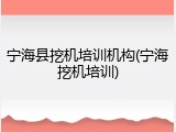 宁海县挖机培训机构(宁海挖机培训)