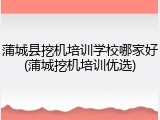 蒲城县挖机培训学校哪家好(蒲城挖机培训优选)