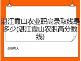 湛江霞山农业职高录取线是多少(湛江霞山农职高分数线)