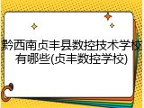 黔西南贞丰县数控技术学校有哪些(贞丰数控学校)