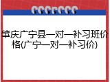 肇庆广宁县一对一补习班价格(广宁一对一补习价)