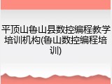 平顶山鲁山县数控编程教学培训机构(鲁山数控编程培训)