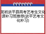 龙岩武平县高考艺考生文化课补习班推荐(武平艺考文化补习)