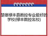 楚雄禄丰县数控专业最好的学校(禄丰数控名校)