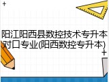 阳江阳西县数控技术专升本对口专业(阳西数控专升本)
