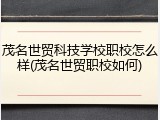 茂名世贸科技学校职校怎么样(茂名世贸职校如何)