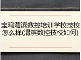宝鸡渭滨数控培训学校技校怎么样(渭滨数控技校如何)