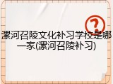 漯河召陵文化补习学校是哪一家(漯河召陵补习)