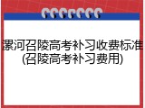 漯河召陵高考补习收费标准(召陵高考补习费用)