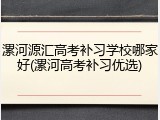 漯河源汇高考补习学校哪家好(漯河高考补习优选)