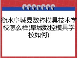 衡水阜城县数控模具技术学校怎么样(阜城数控模具学校如何)