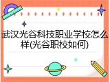 武汉光谷科技职业学校怎么样(光谷职校如何)