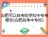 合肥可以自考的学校中专有哪些(合肥自考中专校)