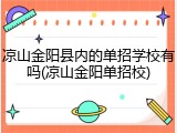 凉山金阳县内的单招学校有吗(凉山金阳单招校)