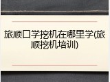 旅顺口学挖机在哪里学(旅顺挖机培训)