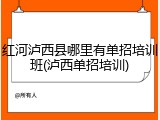 红河泸西县哪里有单招培训班(泸西单招培训)