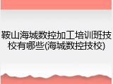 鞍山海城数控加工培训班技校有哪些(海城数控技校)
