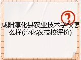 咸阳淳化县农业技术学校怎么样(淳化农技校评价)
