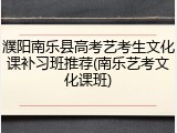 濮阳南乐县高考艺考生文化课补习班推荐(南乐艺考文化课班)