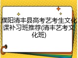 濮阳清丰县高考艺考生文化课补习班推荐(清丰艺考文化班)