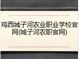 鸡西城子河农业职业学校官网(城子河农职官网)