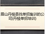 眉山丹棱县找单招集训的公司(丹棱单招培训)