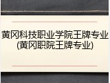 黄冈科技职业学院王牌专业(黄冈职院王牌专业)