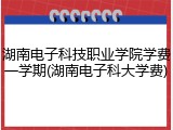 湖南电子科技职业学院学费一学期(湖南电子科大学费)