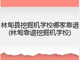 林甸县挖掘机学校哪家靠谱(林甸靠谱挖掘机学校)