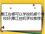 雁江在哪可以学挖机哪个学校好(雁江挖机学校推荐)