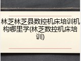 林芝林芝县数控机床培训机构哪里学(林芝数控机床培训)