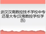 武汉汉南数控技术学校中专还是大专(汉南数控学校学历)