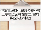 伊犁霍城县中职数控专业技工学校怎么样在哪里(霍城数控技校地址)