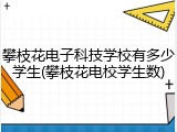 攀枝花电子科技学校有多少学生(攀枝花电校学生数)