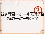 新乡辉县一对一补习班价格(辉县一对一补习价)