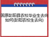 固原彭阳县农校毕业生去向如何(彭阳农校生去向)