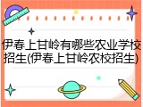 伊春上甘岭有哪些农业学校招生(伊春上甘岭农校招生)