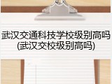 武汉交通科技学校级别高吗(武汉交校级别高吗)