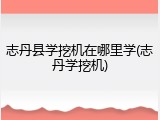 志丹县学挖机在哪里学(志丹学挖机)