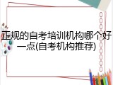 正规的自考培训机构哪个好一点(自考机构推荐)