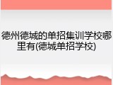德州德城的单招集训学校哪里有(德城单招学校)