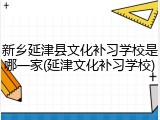 新乡延津县文化补习学校是哪一家(延津文化补习学校)