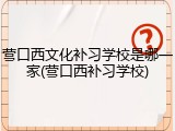 营口西文化补习学校是哪一家(营口西补习学校)