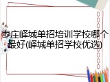 枣庄峄城单招培训学校哪个最好(峄城单招学校优选)