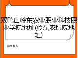 双鸭山岭东农业职业科技职业学院地址(岭东农职院地址)