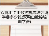 双鸭山尖山数控机床培训班学费多少钱(双鸭山数控培训学费)